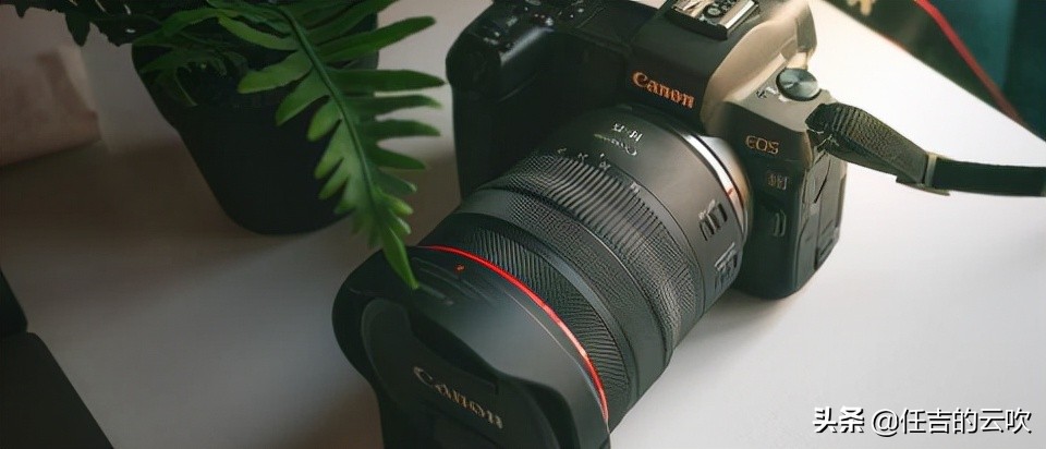 佳能rf14-35适合人像吗,佳能rf14-35f4重量