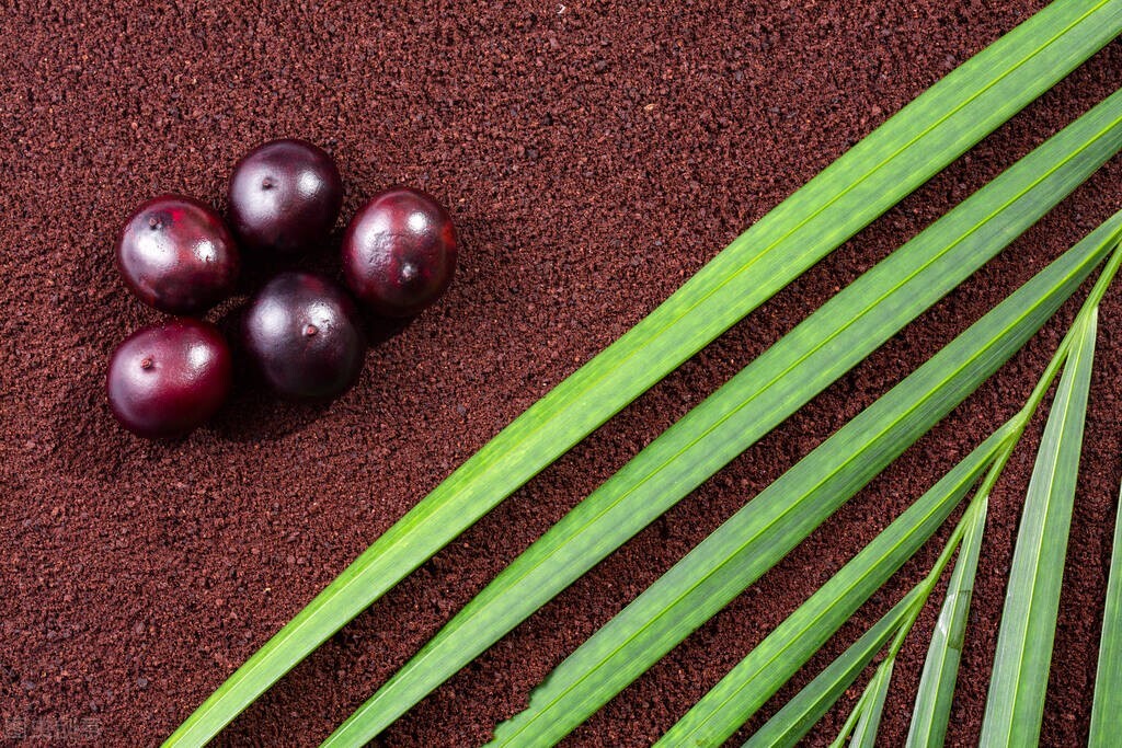 熊果苷的成分,熊果苷乳酸成分