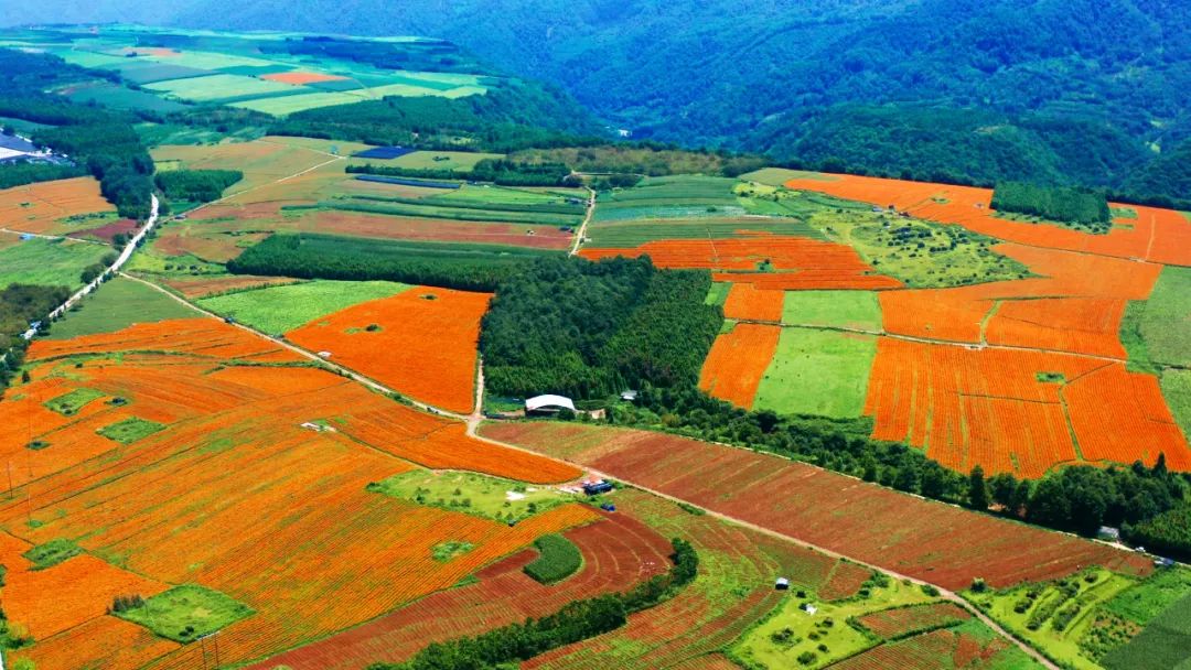 腾冲出游,腾冲诗和远方