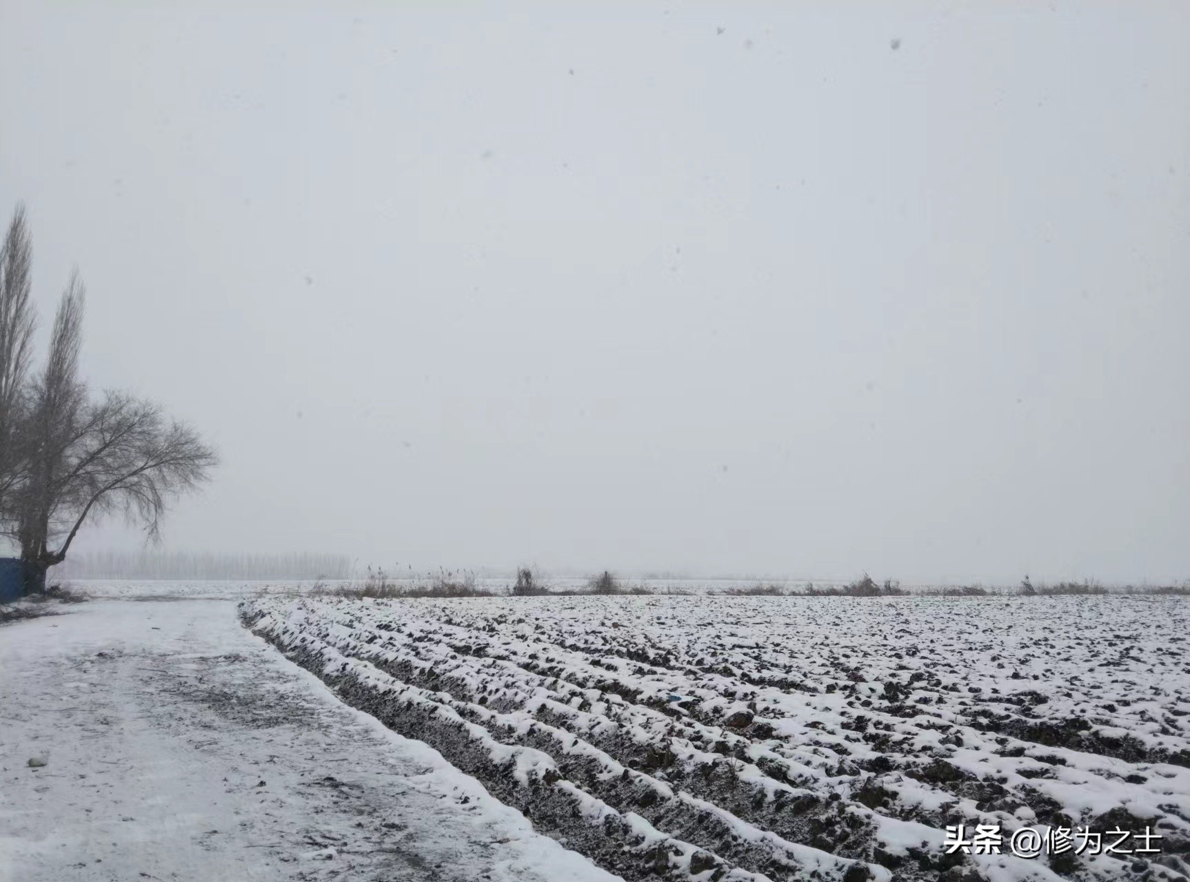石河子连队,石河子军垦职工