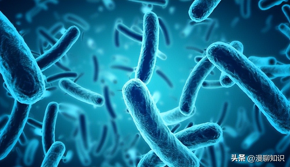 b族链球菌胎儿感染的概率多少,b群链球菌阴性孕妇