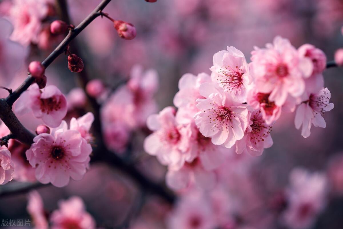 钱钱钱，到处是为钱的烦恼