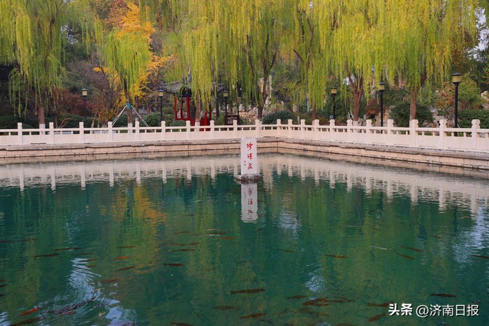 诗画名泉|珍珠泉：一泓映绮疏可以鉴须眉