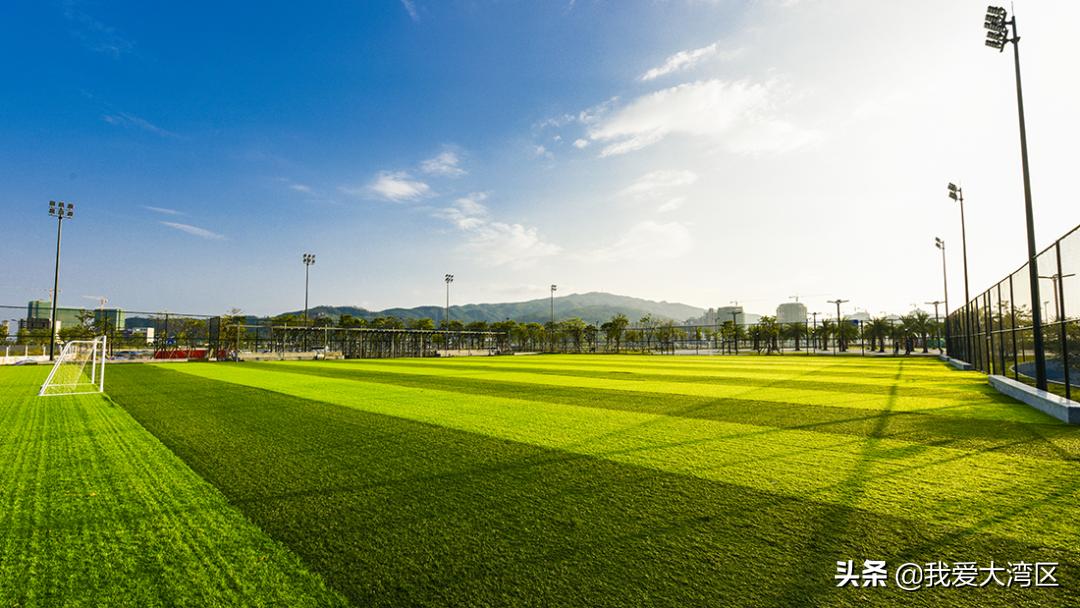 珠海春游赏花,珠海周边踏青景点