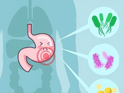 【掌健识】国际护胃日|恶心呕吐怎么办