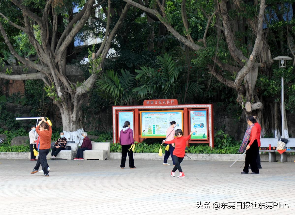 东莞人民公园真美,东莞人民公园故地重游