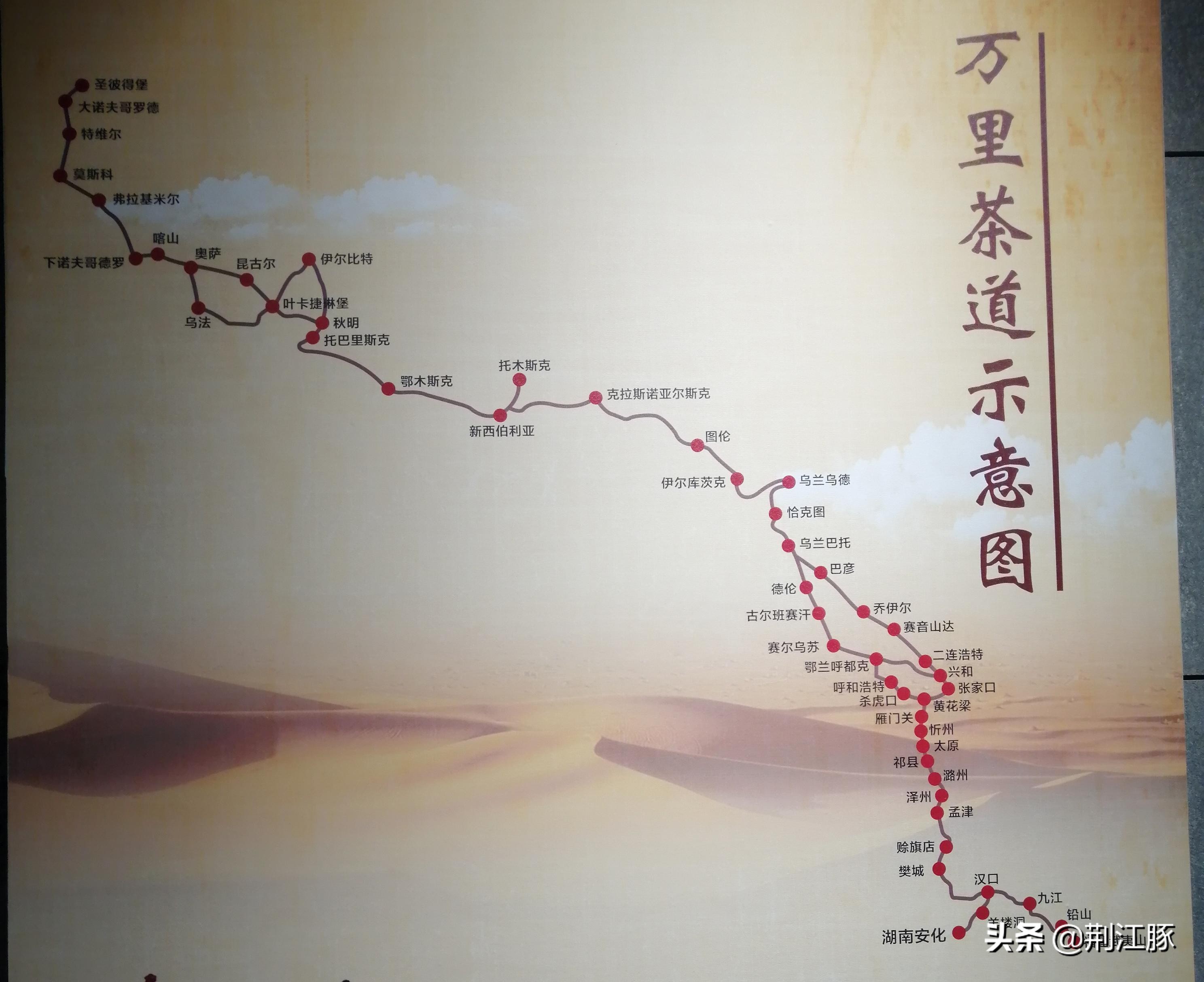 时隔215天,我再次来到这里,了解安化黑茶的前世今生