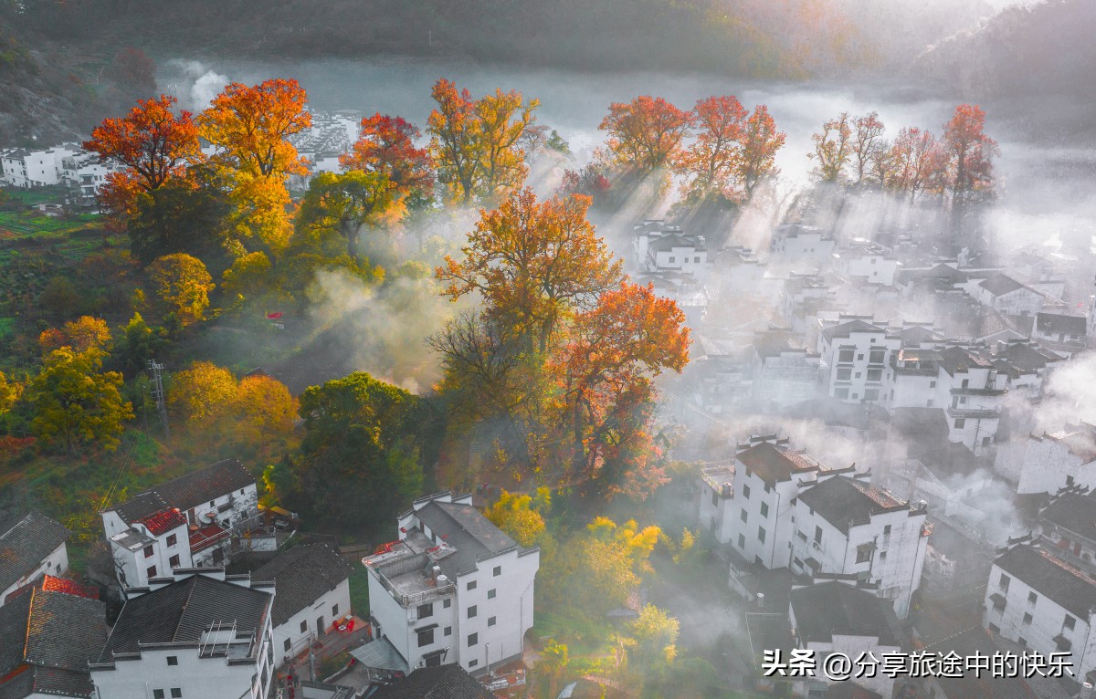 庐山旅游团2日游报价,暑假庐山三日游跟团游价格包吃住