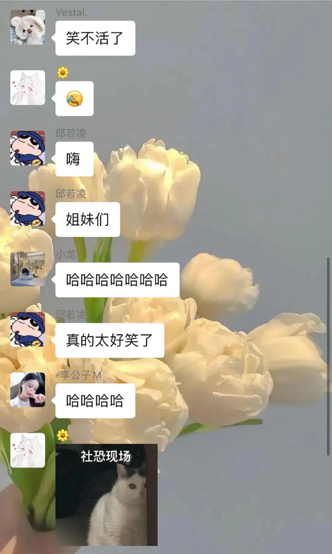 信息发错群有多尴尬,发错群的尴尬事件评论区