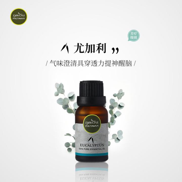 天然尤加利精油,尤加利茶树精油