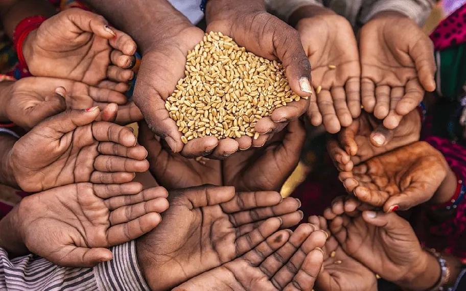 最近发生全球经济危机的可能性,世界粮食危机最新消息