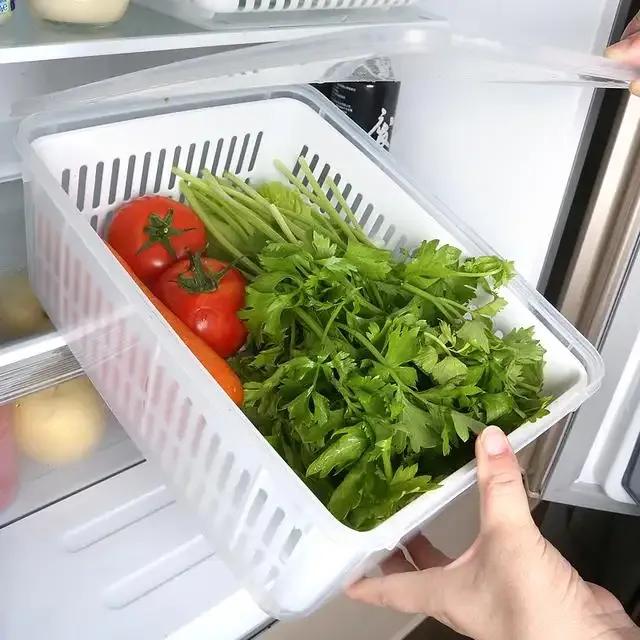 家里冰箱小了有必要换新的么,家里冰箱用了10年建议换吗专家说