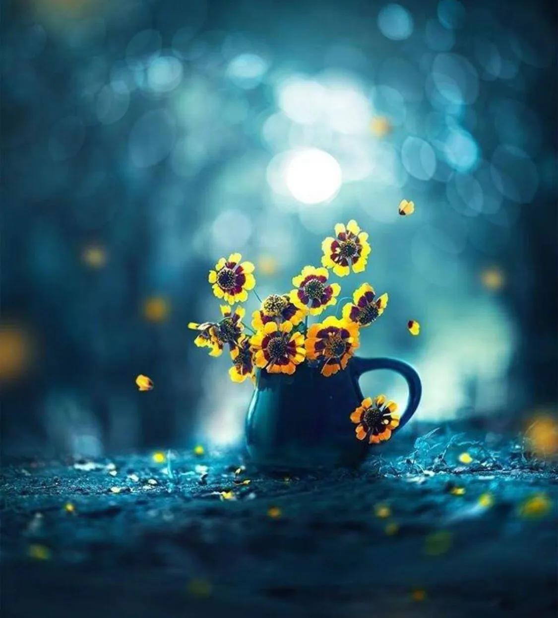 过期两年的食用油能食用吗,丈母娘给的花生油