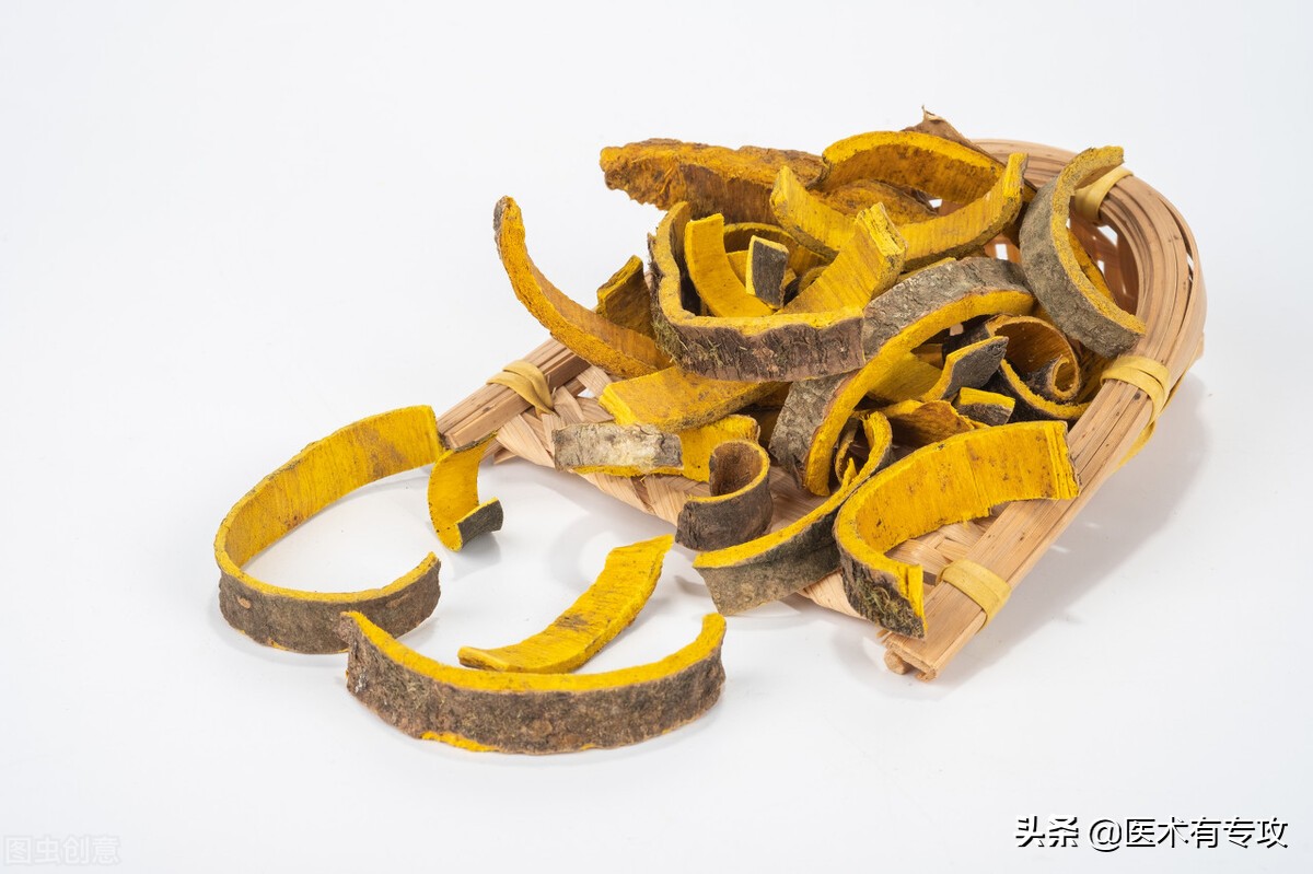 和黄柏同样效果的中药,一味中药黄柏功效与作用