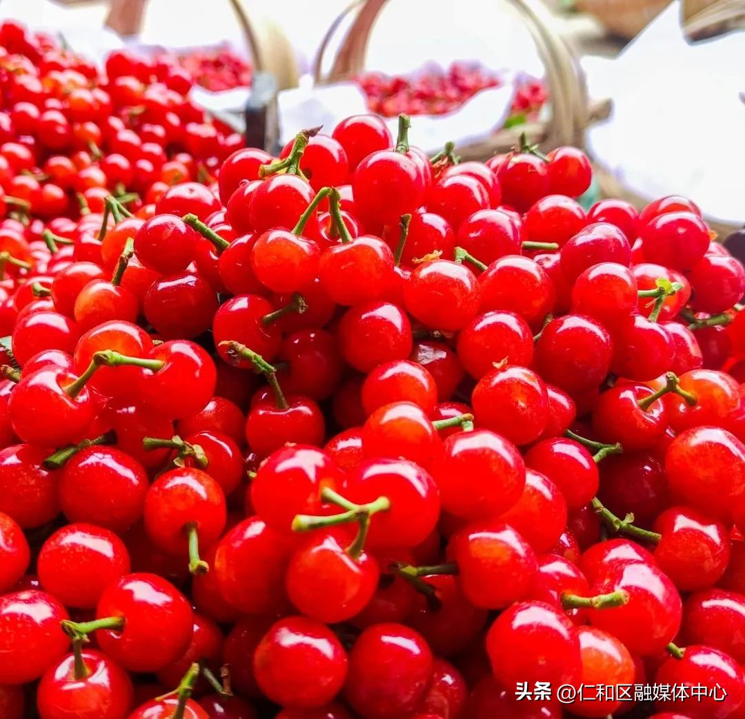 “果”然精彩快收好仁和区这份“东南亚度假”指南