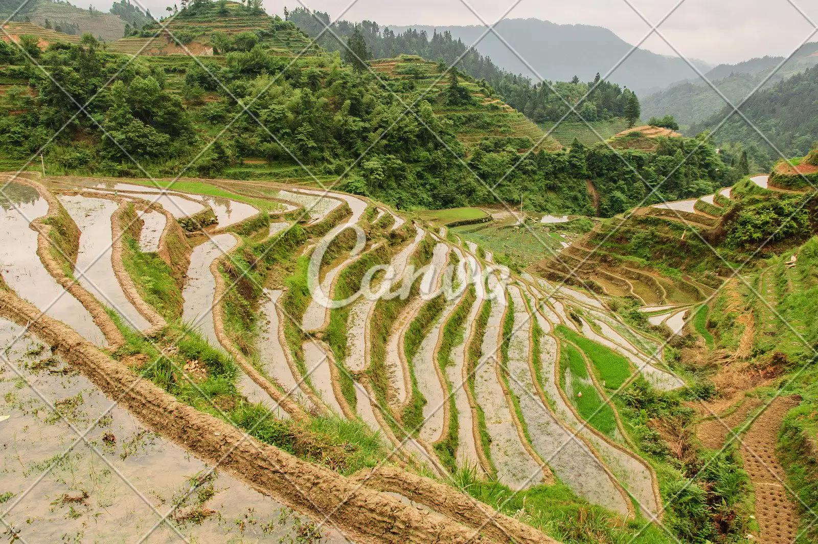 2024临时用地补偿标准是什么,当前农村的土地补偿标准