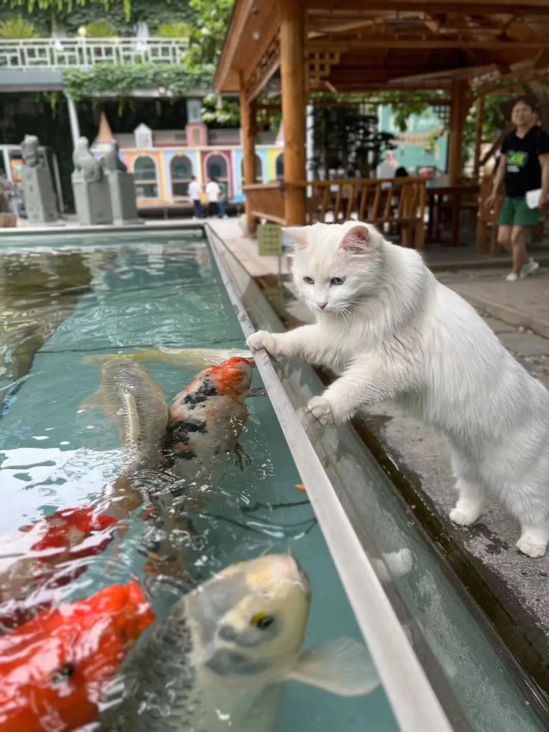 赵明明：上班摸鱼，是我的梦想!