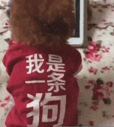 谈了三年的女朋友第一次来我家,追了一年多的女朋友