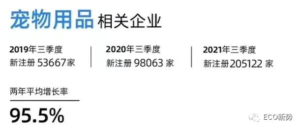 年轻人怕孤独吗,年轻人有多怕孤独