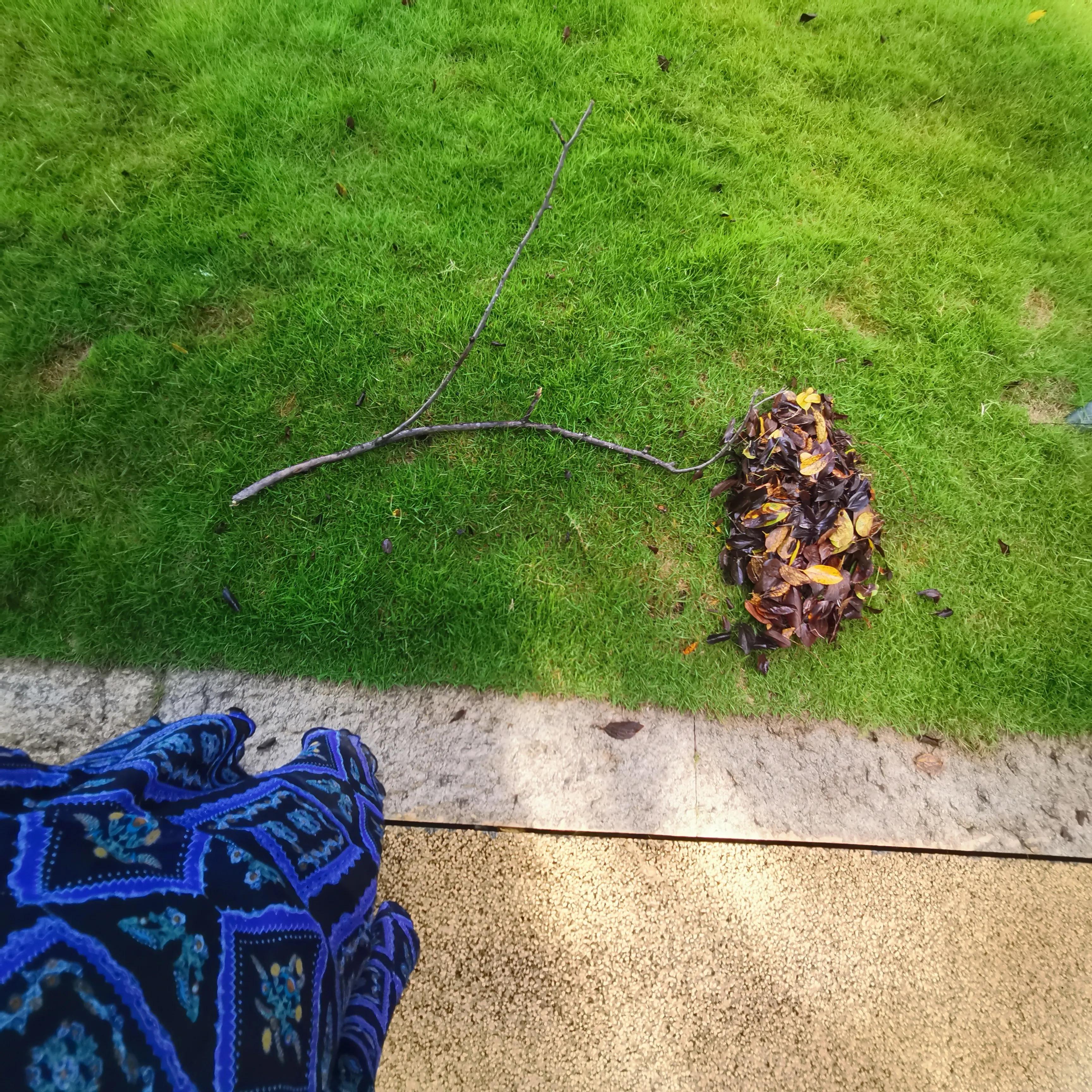 风雨过后见彩虹励志八字句子,风雨过后见彩虹文案句子