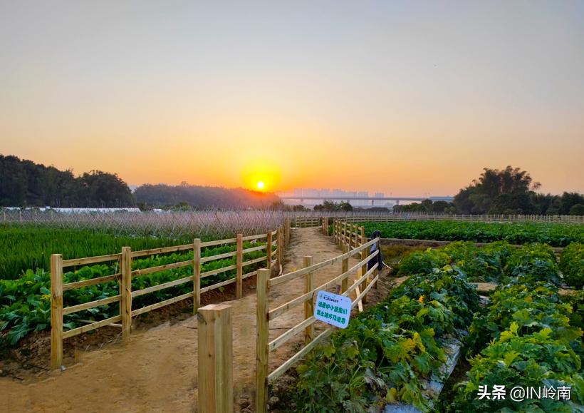音乐潮玩市集白云公园站,潮玩街区音乐集市仁寿