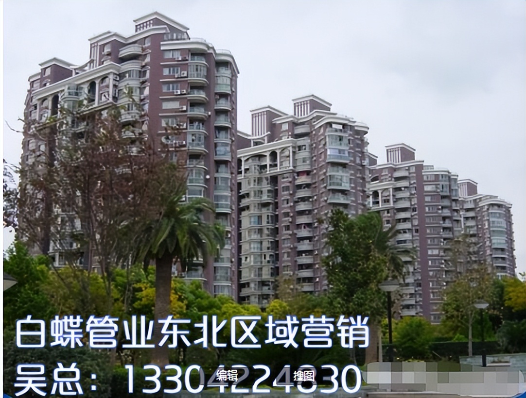 白蝶管业官方网站,白蝶管业怎么代理