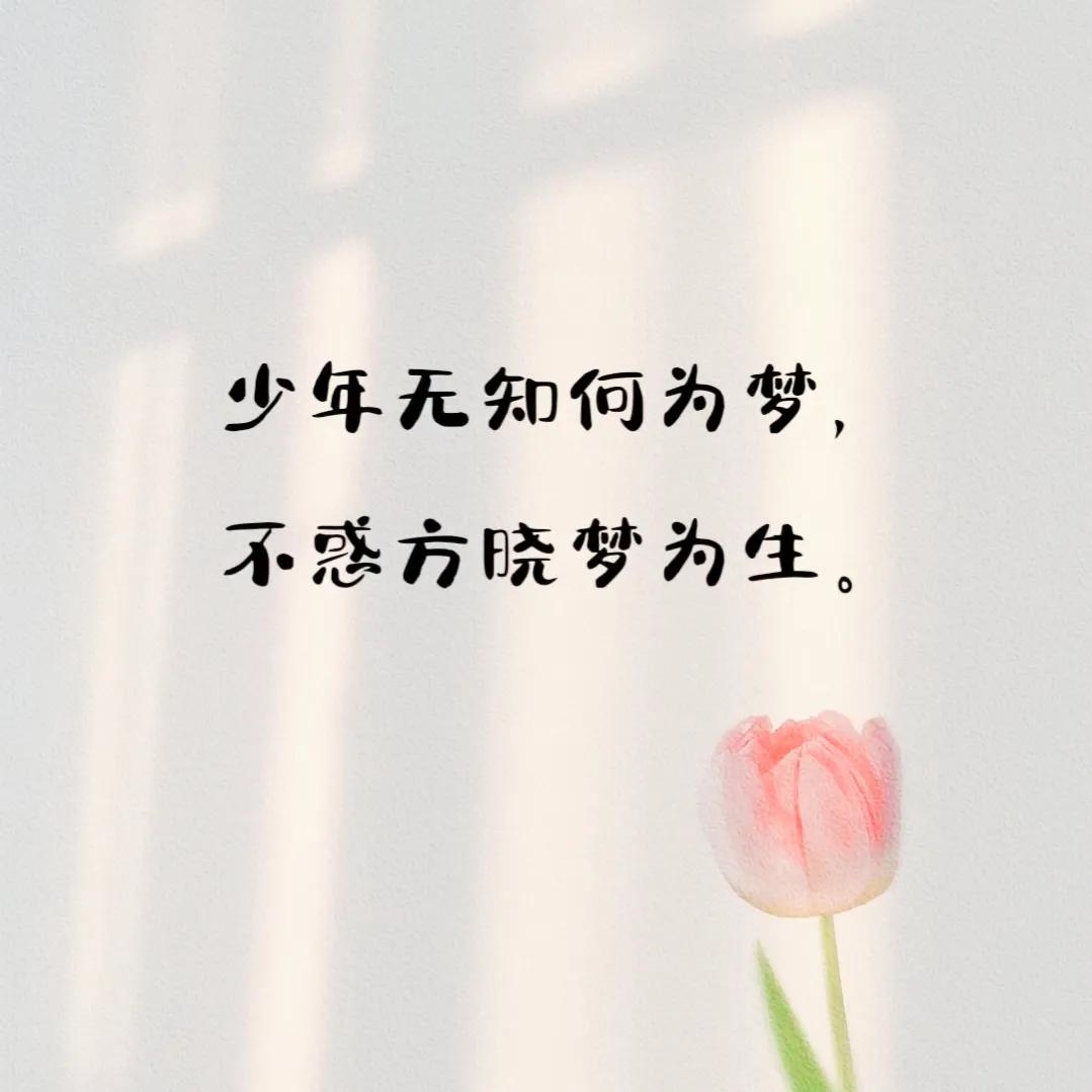 人生感悟别在黑夜寻找太阳的足迹,希望你人生中的每一个重要的日子