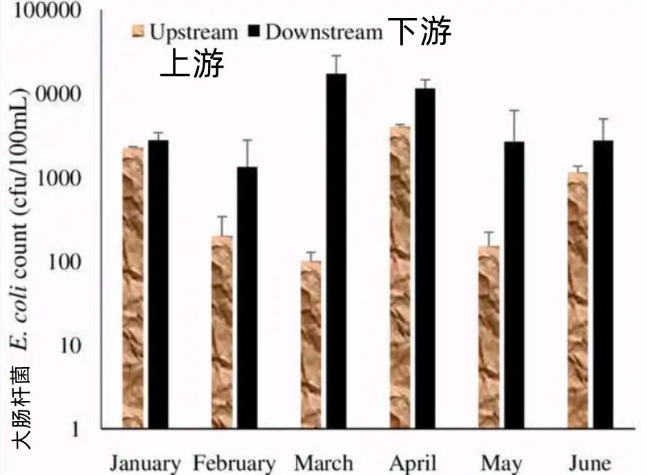 印度恒河水那么脏为何不生病,印度恒河水到底多脏有粪便