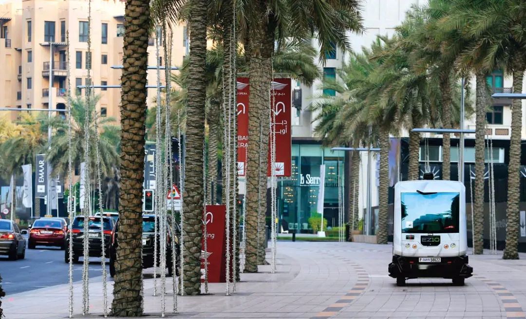 阿联酋为什么是十强赛种子队,为什么印度向阿联酋投弃权票