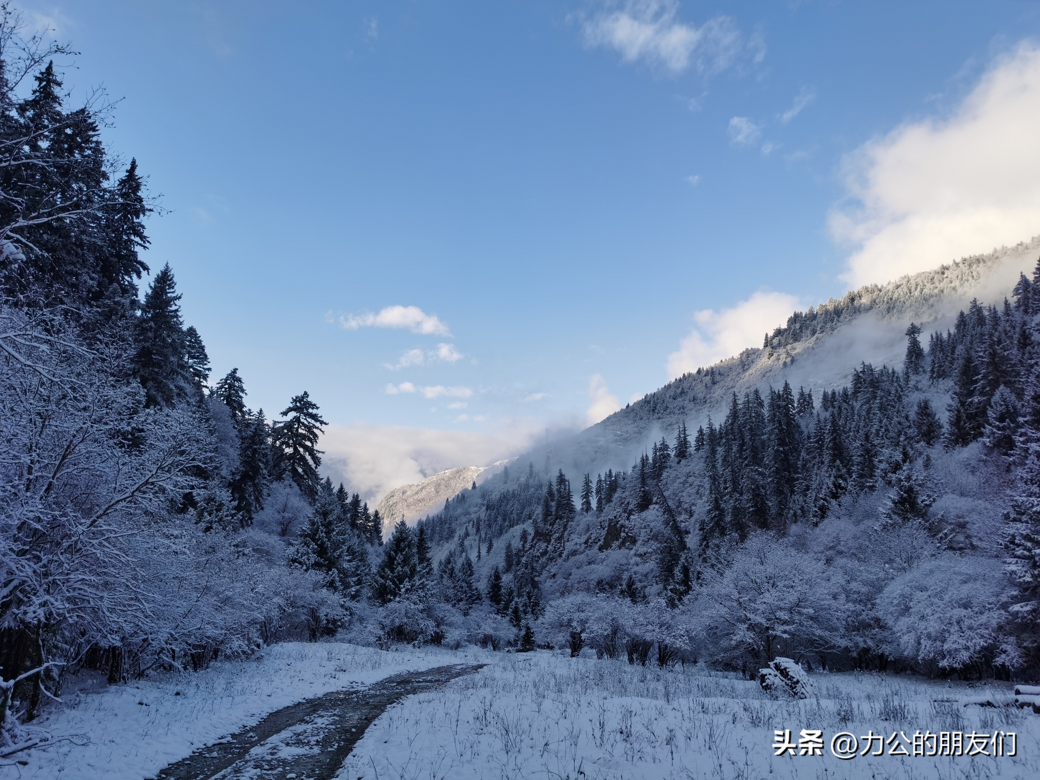 明天是星期四再过100天还是星期日,明天是星期四的图片