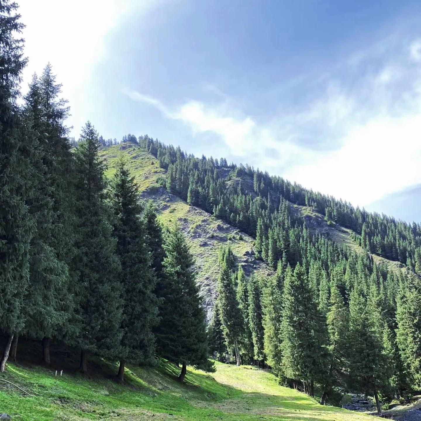 乌鲁木齐南山出游注意事项,去乌鲁木齐南山需要带什么东西