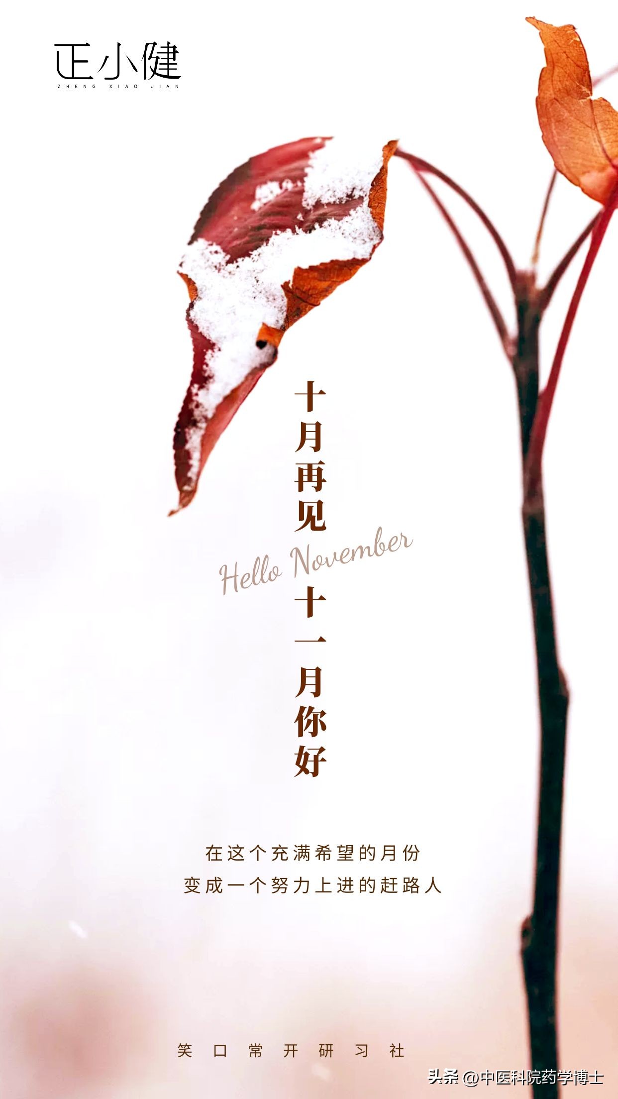 便秘最好用什么中成药调理,经常便秘教你一招专治顽固性便秘