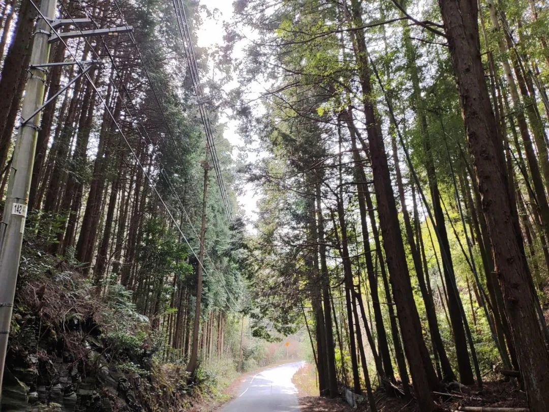 日本小哥回日本,日本小哥下班回家