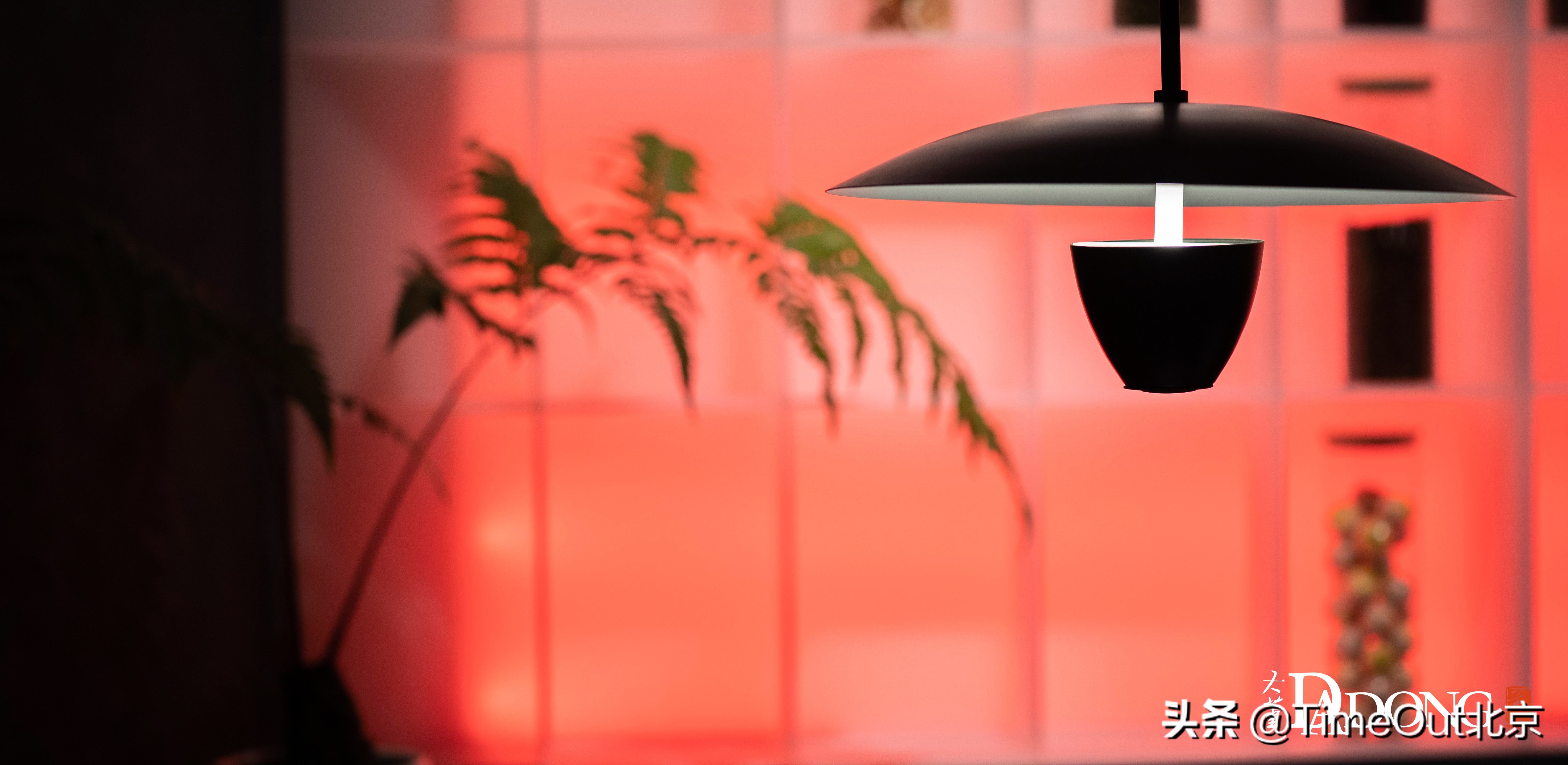 南京黑珍珠餐厅最值得打卡,一定不要错过这家黑珍珠餐厅