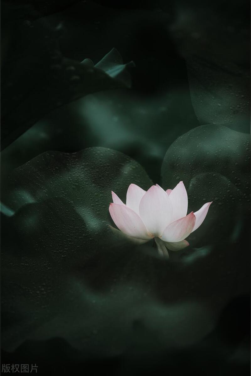 变了性格像换了一个人怎么回事,性格大变的人是怎么了