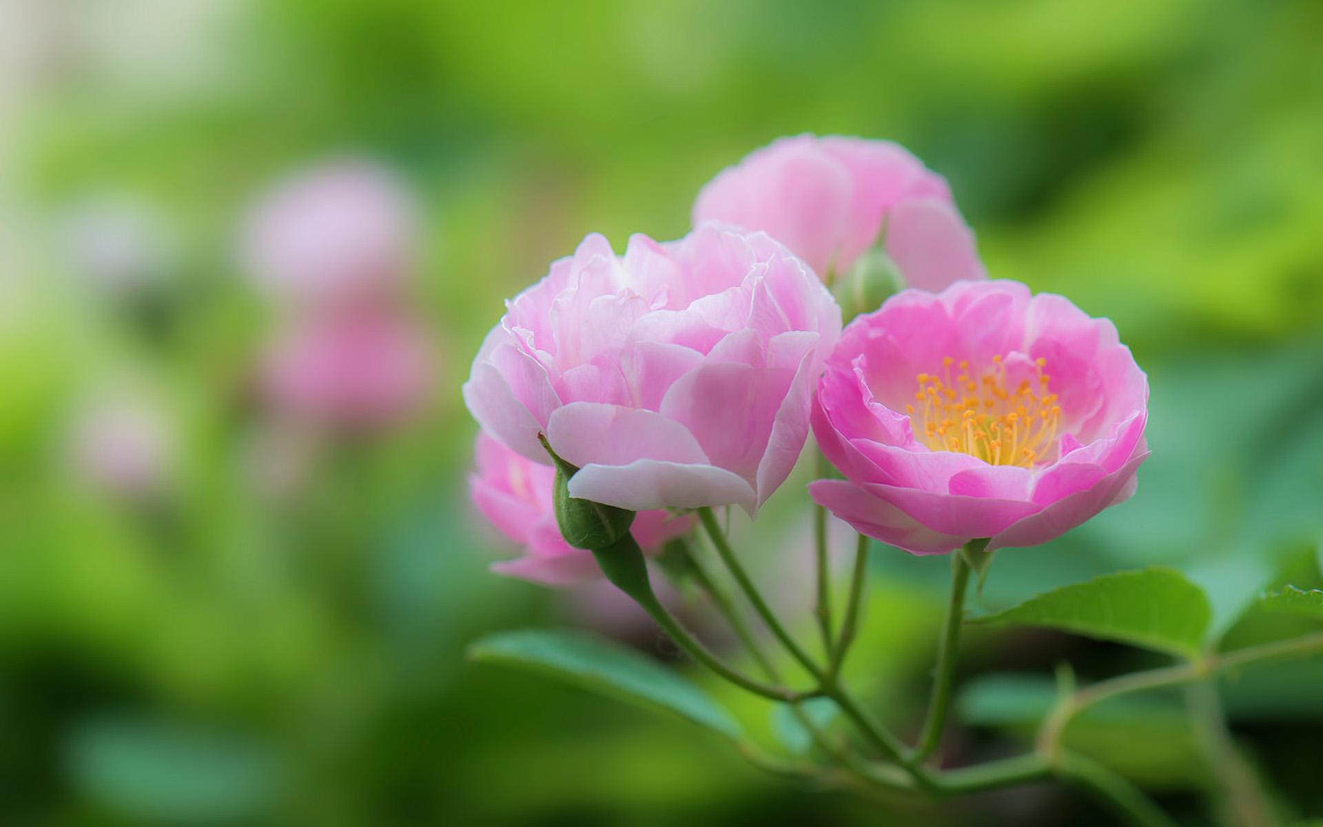 女生如果暗恋你会说什么话,女人暗恋你她会对你说六句话