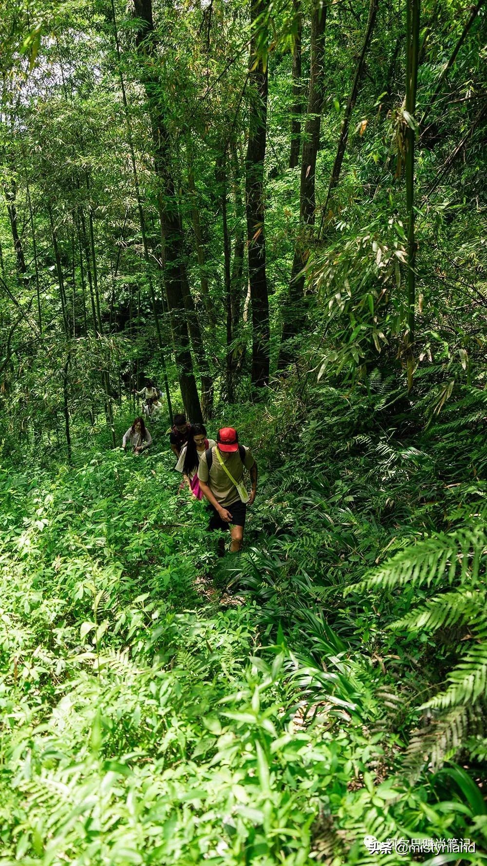 kolonsport可隆武汉,kolonsport可隆广州