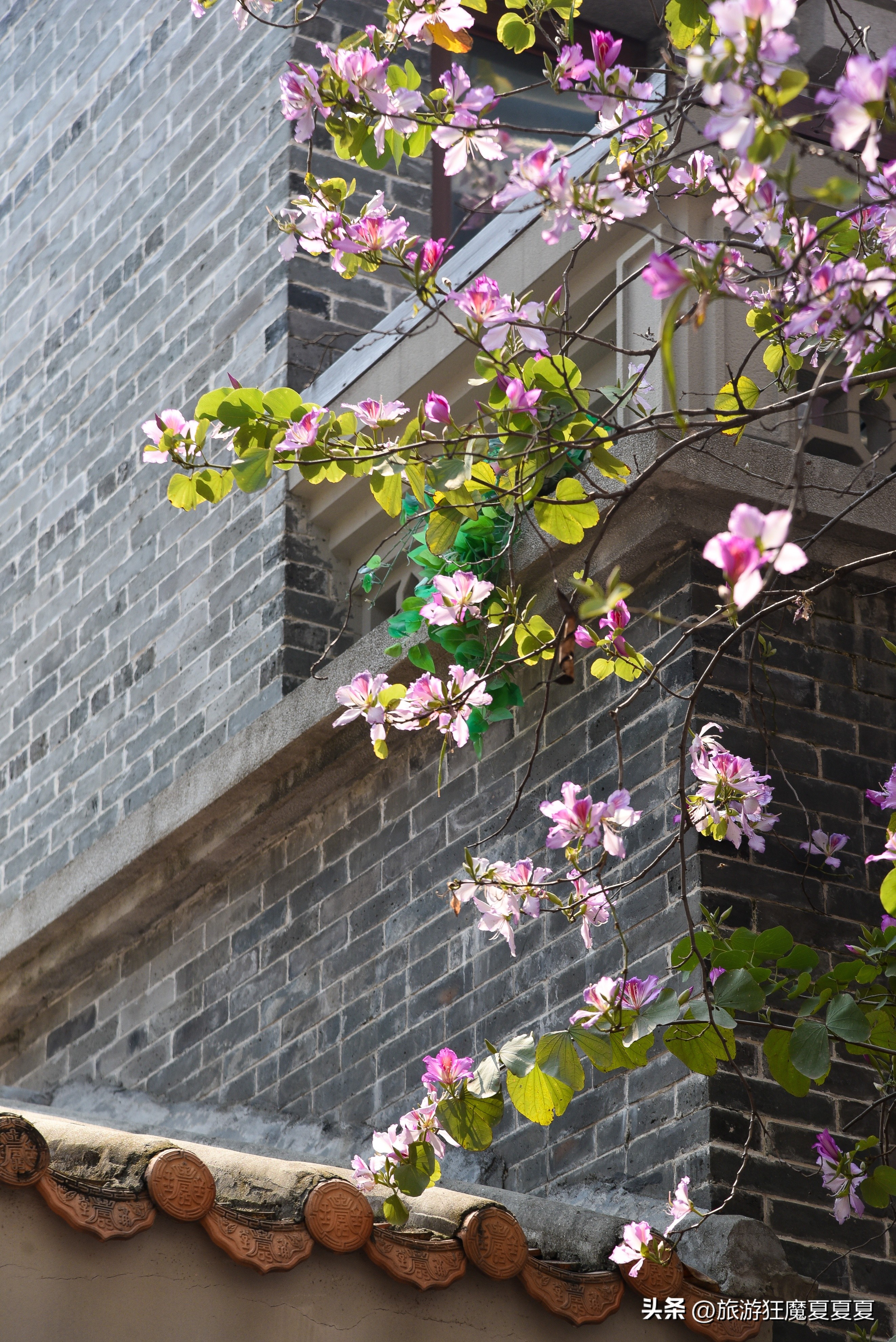 老广州西关风情,特色十足广州百年骑楼修旧如旧