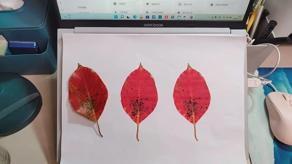 怎样选择一款好的打印机,怎样选择一款合适的家用打印机