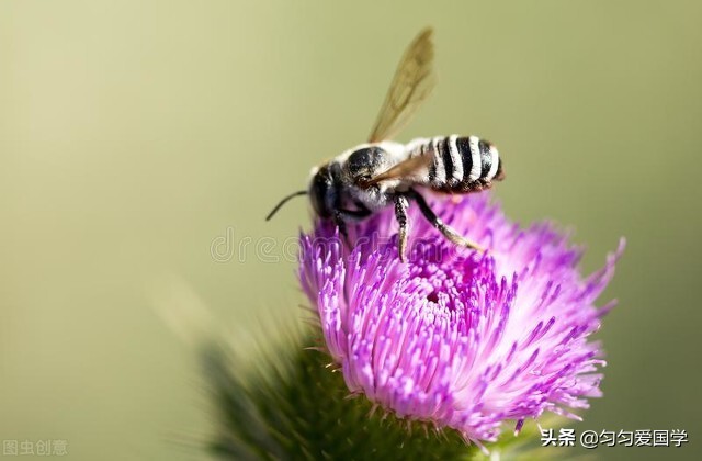花田小镇哪个区,赣州花田小镇要门票吗