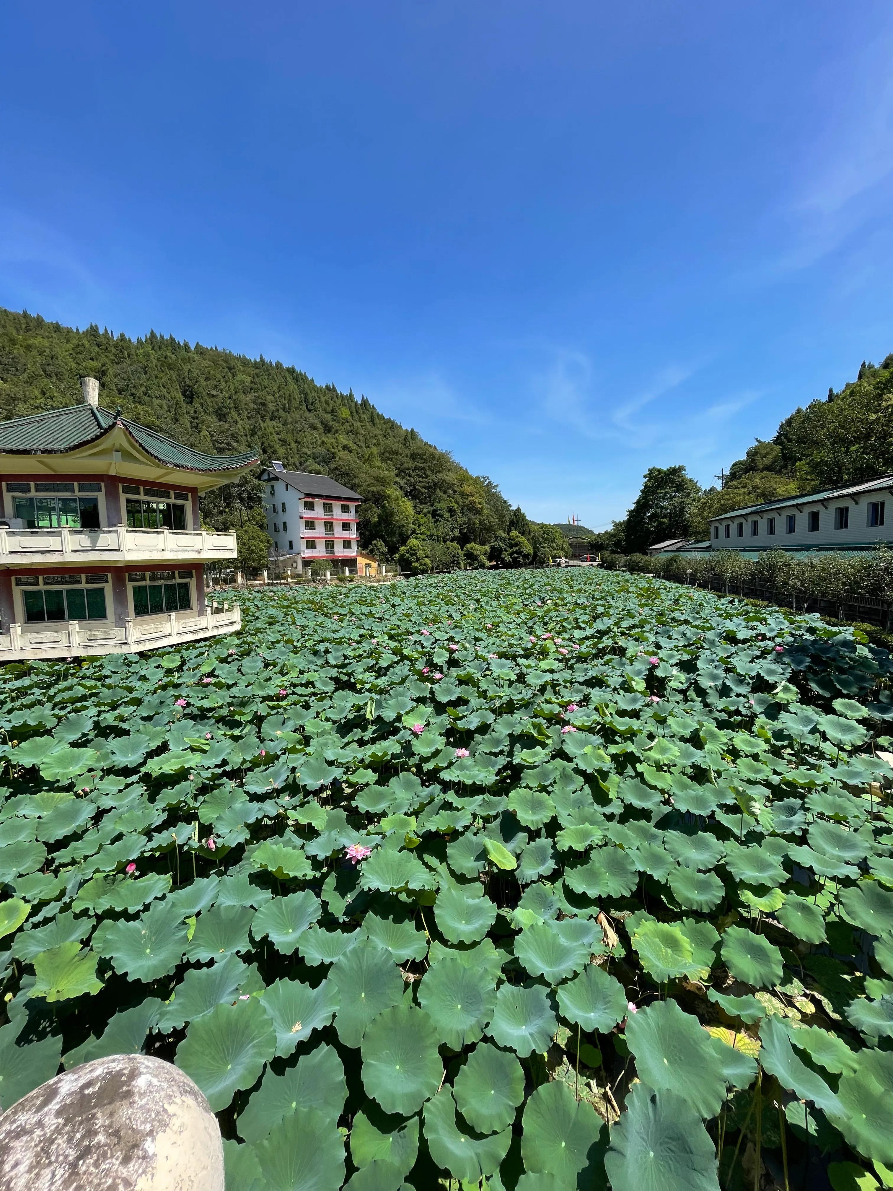 重庆市最好的溶洞,重庆主城有哪些溶洞景区