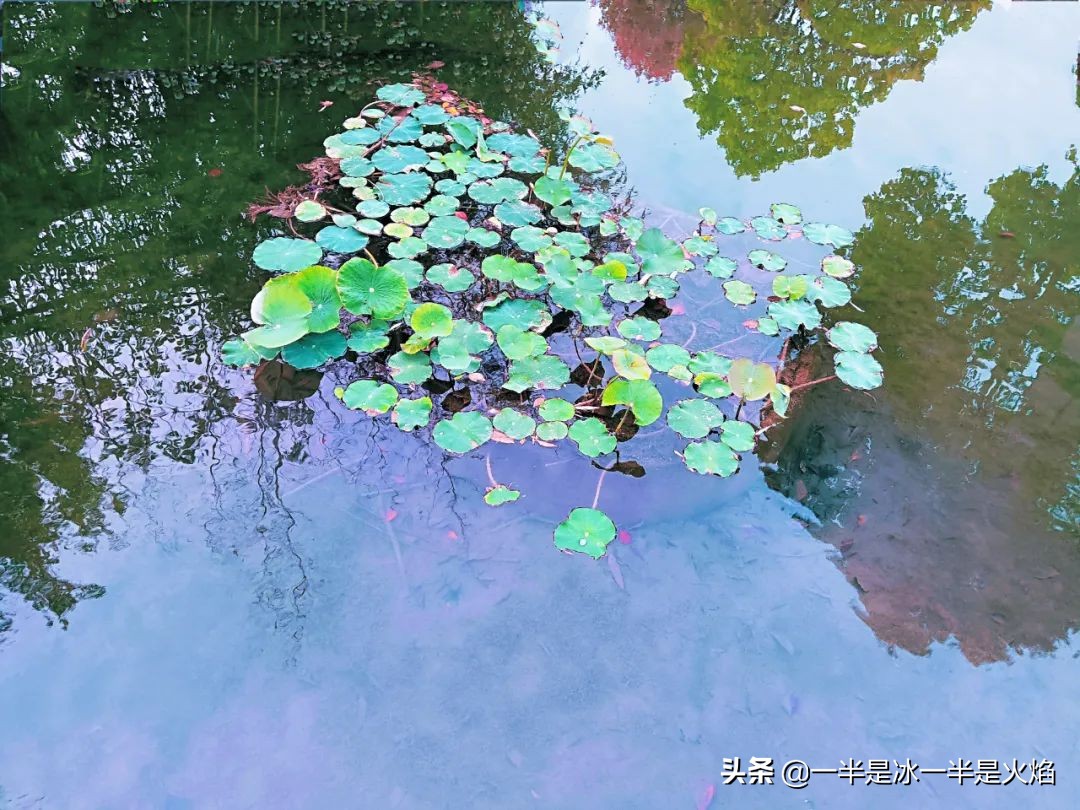 随笔世间百态,一句时光随笔