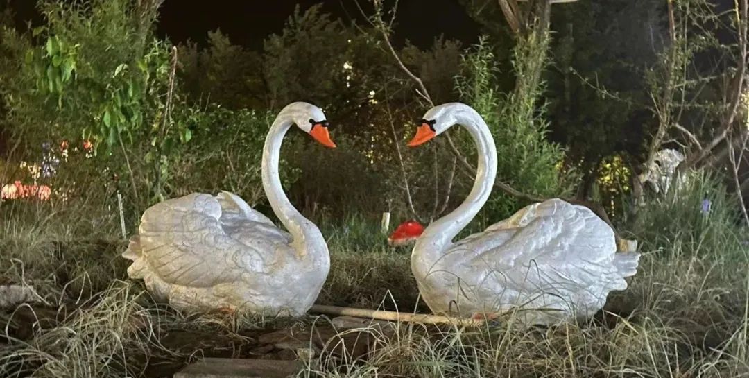 金昌旅游景点攻略沙漠,金昌市可以玩的地方