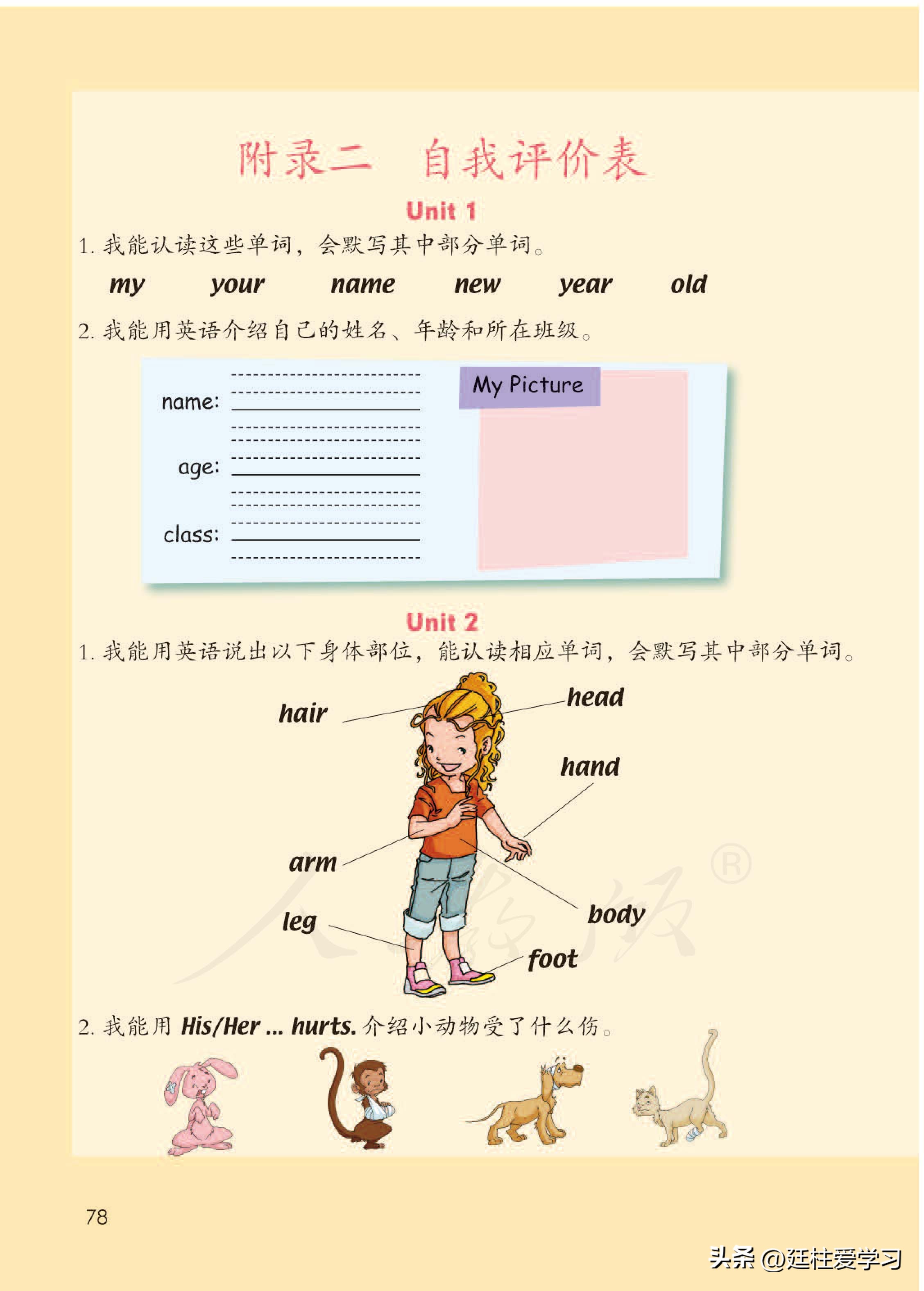 小学英语外研版三年级上册,小学英语精通版三年级上册