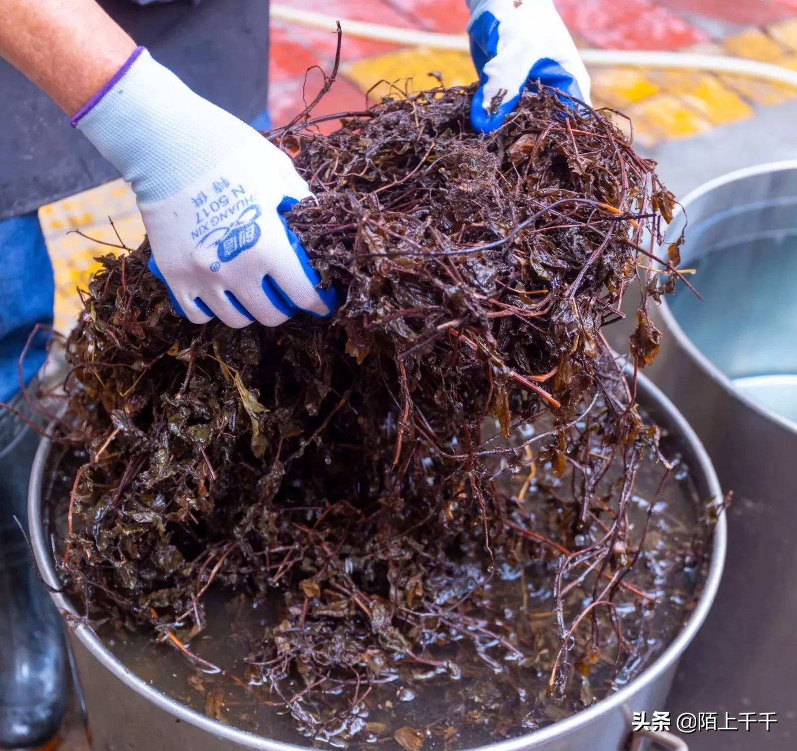 广东开平马冈凉粉,正宗的古镇特色凉粉