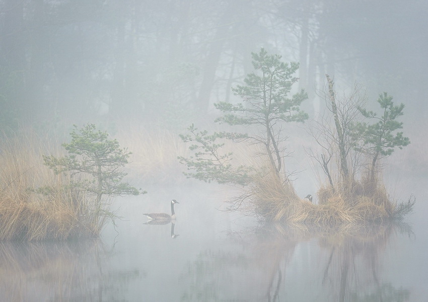 春色已随莺度岭，秋光空映月侵闺
