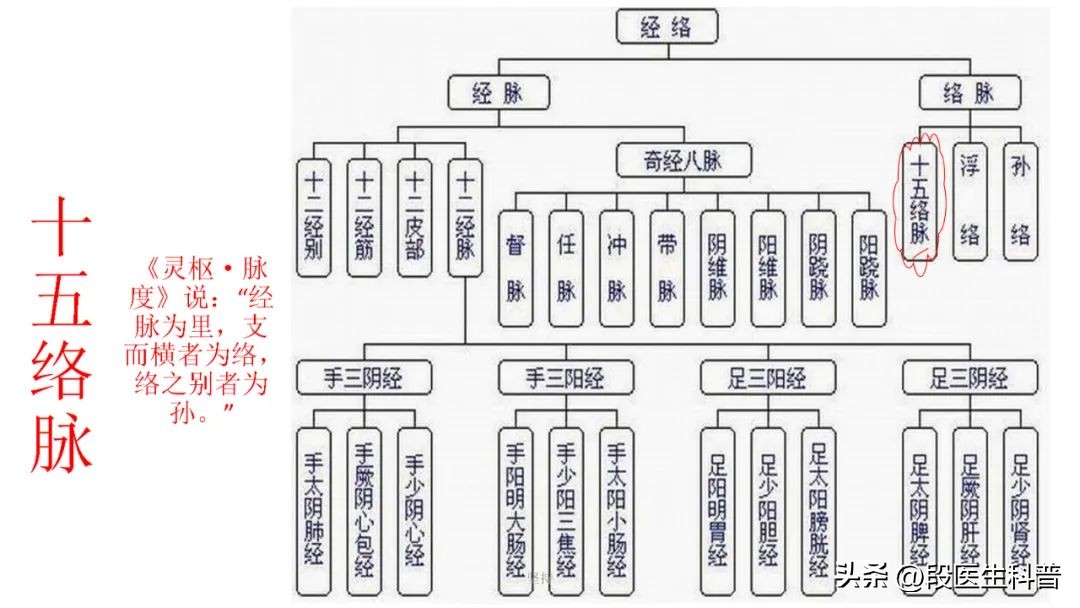 经络是由神经和血管组成的,人体经络具体作用有哪些