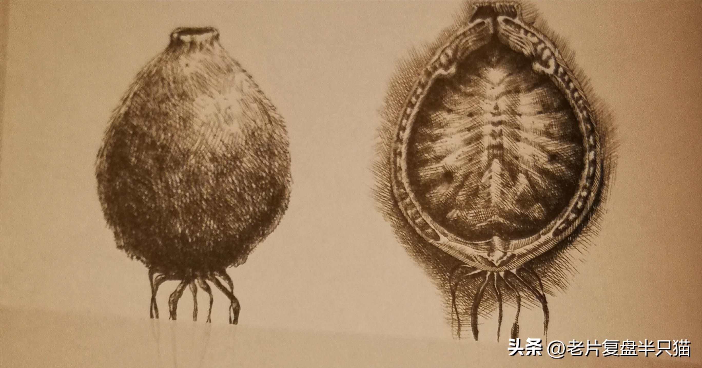 仿生人大卫的秘密,仿生机器人大卫