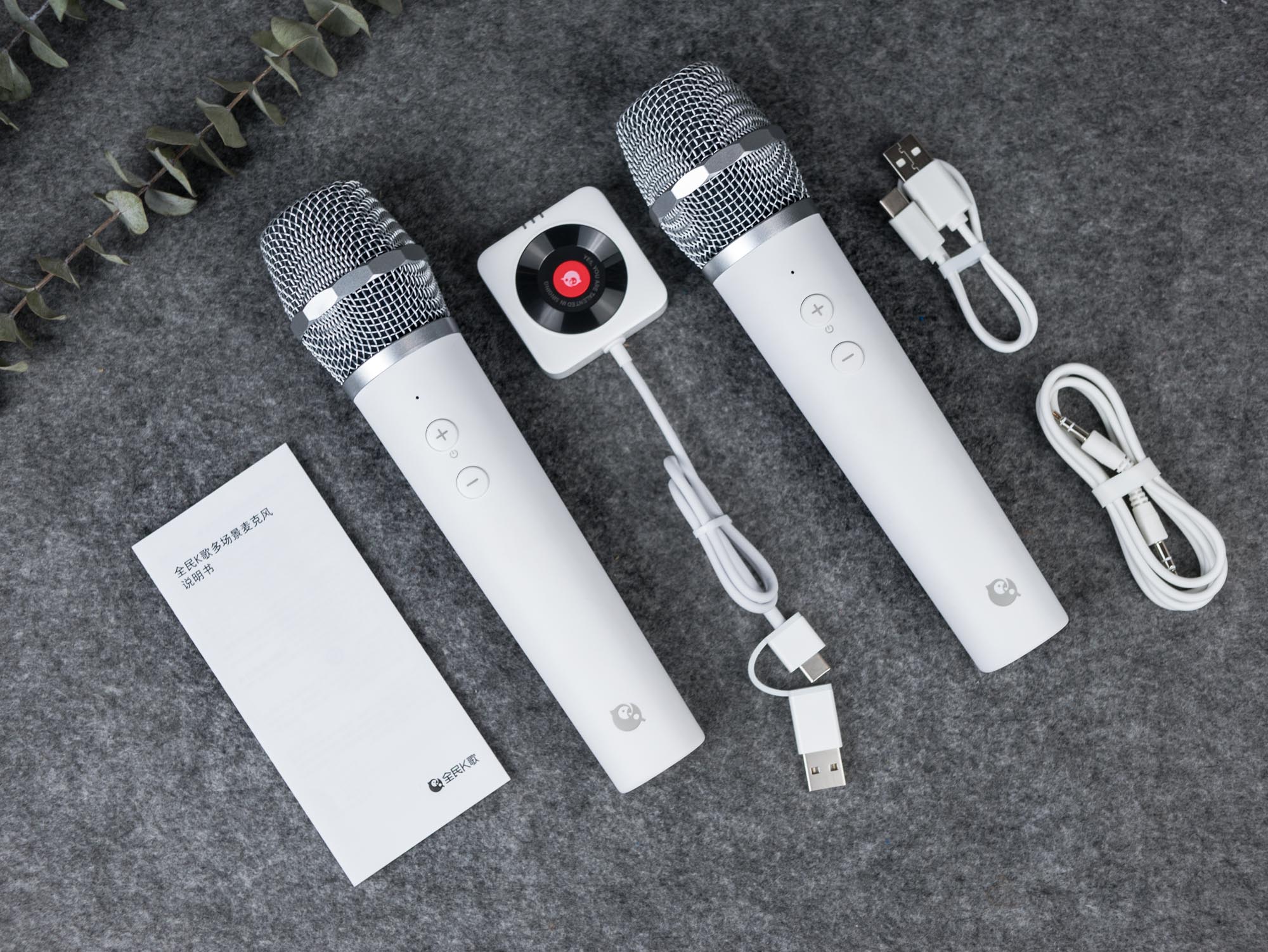 用麦克风录制k歌全部教程,k歌直播麦克风推荐