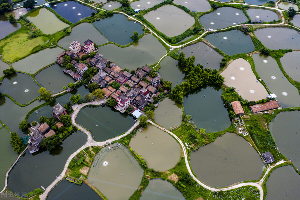 江门各县2019年财政收入,江门市财政收入排名2020